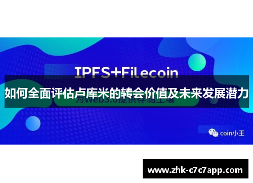 如何全面评估卢库米的转会价值及未来发展潜力