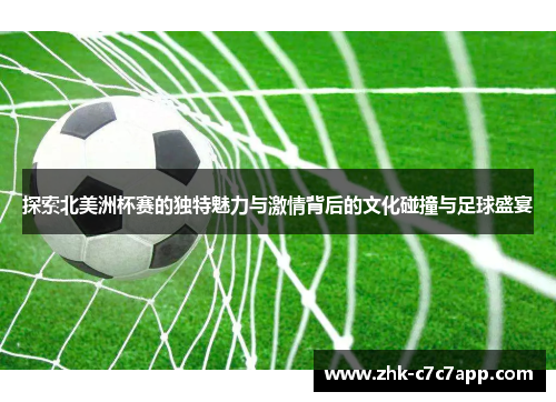 探索北美洲杯赛的独特魅力与激情背后的文化碰撞与足球盛宴
