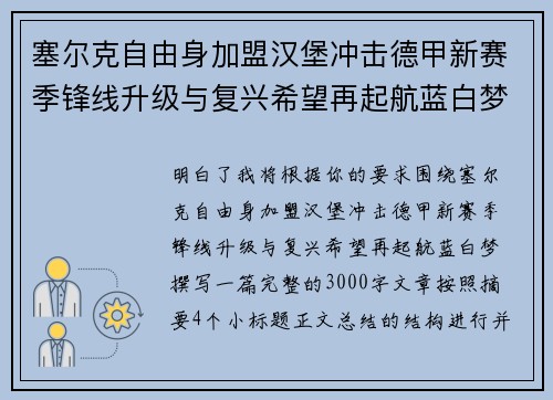 塞尔克自由身加盟汉堡冲击德甲新赛季锋线升级与复兴希望再起航蓝白梦