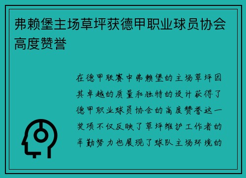 弗赖堡主场草坪获德甲职业球员协会高度赞誉 弗赖堡主场草坪获德甲职业球员协会高度赞誉